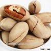 Pecan Nuts