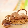 High quality Pecans, good price with ISO, HACCP
