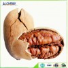Chinese Pecans