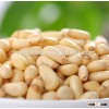 Chinese Pine Nut Kernels with OEM Service