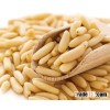 Pine Nut Kernels - Visit www.agriprices.com For Wholesale Price Discounts On Pine Nuts