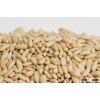 Top Grade Pine Nuts Available!!
