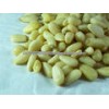 Pine Nuts, Best Quality Pine Nuts, Grade A Pine Nuts
