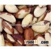 turkish pine nuts