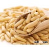 Pine Nuts