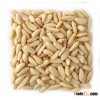 Pine Nut
