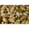 Top Grade Pine Nuts