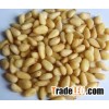 Pine Nuts,Best Quality Pine Nuts,A grade