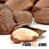 cheap bulk pine nuts
