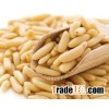 WholeSale Pine Nuts