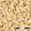 Pine Nuts