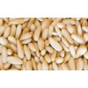 Organic pine nuts, high quality, good price