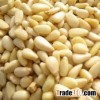 Pine Nut Kernels - Best Quality