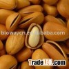 Organic Dried Pine Nut