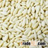 Blanched Pine Nuts
