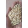 Best Natural Pine Nuts best cleaned Grade AAA high Quality best price