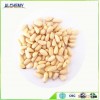 Golden Supplier of Organic pine nut exporter