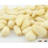 Direct factory china pine nut kernel