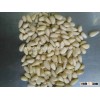 High Quality Guaranteed Pine Nut Kernels with OEM Service