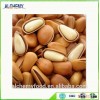 chinese cheap bulk pine nuts for sale