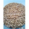 2015 crop Pinenuts Kernels