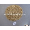 PINUS SIBIRICA KERNEL/Pine nuts china good factory