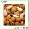 products you can import from china organic pine nut for sale