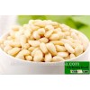 Chinese manufacturer 2014 new HACCP Pine nuts