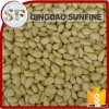 Organic pine nuts prices