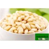 Pine nuts wholesale pakistan