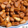 Free sample pine nuts suppliers