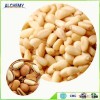 Best price wild pine nuts