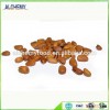 High quality pine nuts