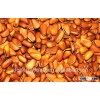 China 2015 new Crops, Pine nuts for wholesale, good quality