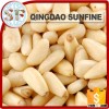 White organic pine nuts