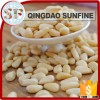 Health food bulk organic pine nuts