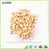Best price raw pine nuts