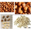 Organic Pine Seed