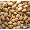 Quality Pistachios Nuts / Raw and Roasted