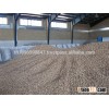 Buy Quality Pistachio Nuts