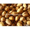 Raw Iranian Pistachio Nuts for sale