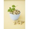 pistachio