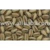 support your Pistachio inquiry in all kinds, (In shell, Akbari,Kal...)