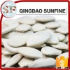 Chinese pumpkin seed and kernels snow white pumpkin seeds shine skin punpkin seed and kernels