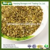 New crop Pumpkin seeds kernels