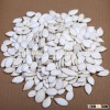 Snow White Pumpkin Seeds