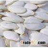 Top quality Snow pumpkin seeds for sale