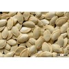 Shine Skin Pumpkin Seeds, Size 8-10mm, 10-11mm, 11-12mm,
