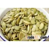 PUMPKIN SEEDS