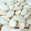 Roasted and Salted Pumpkin Seeds for sale
